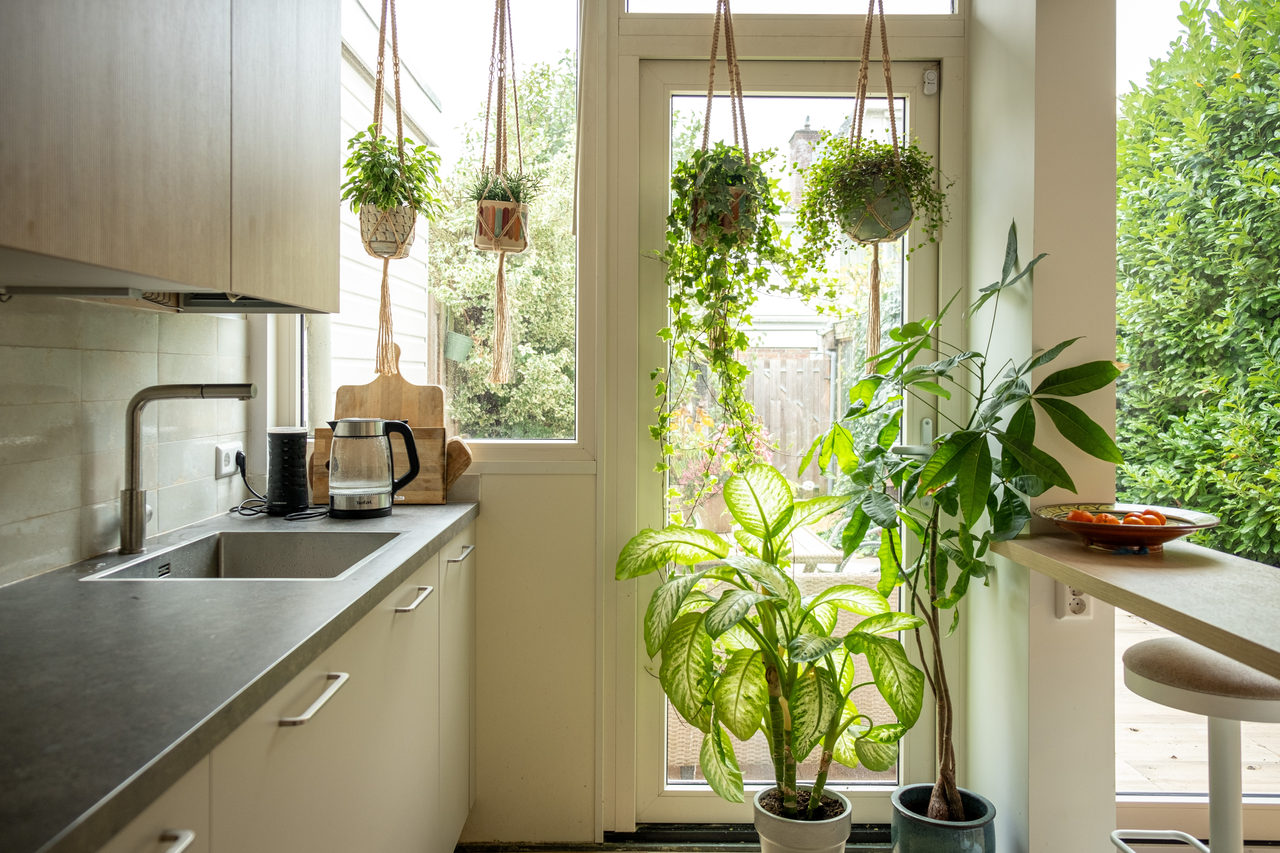 Botanic kitchen: kitchen design in Amstelveen