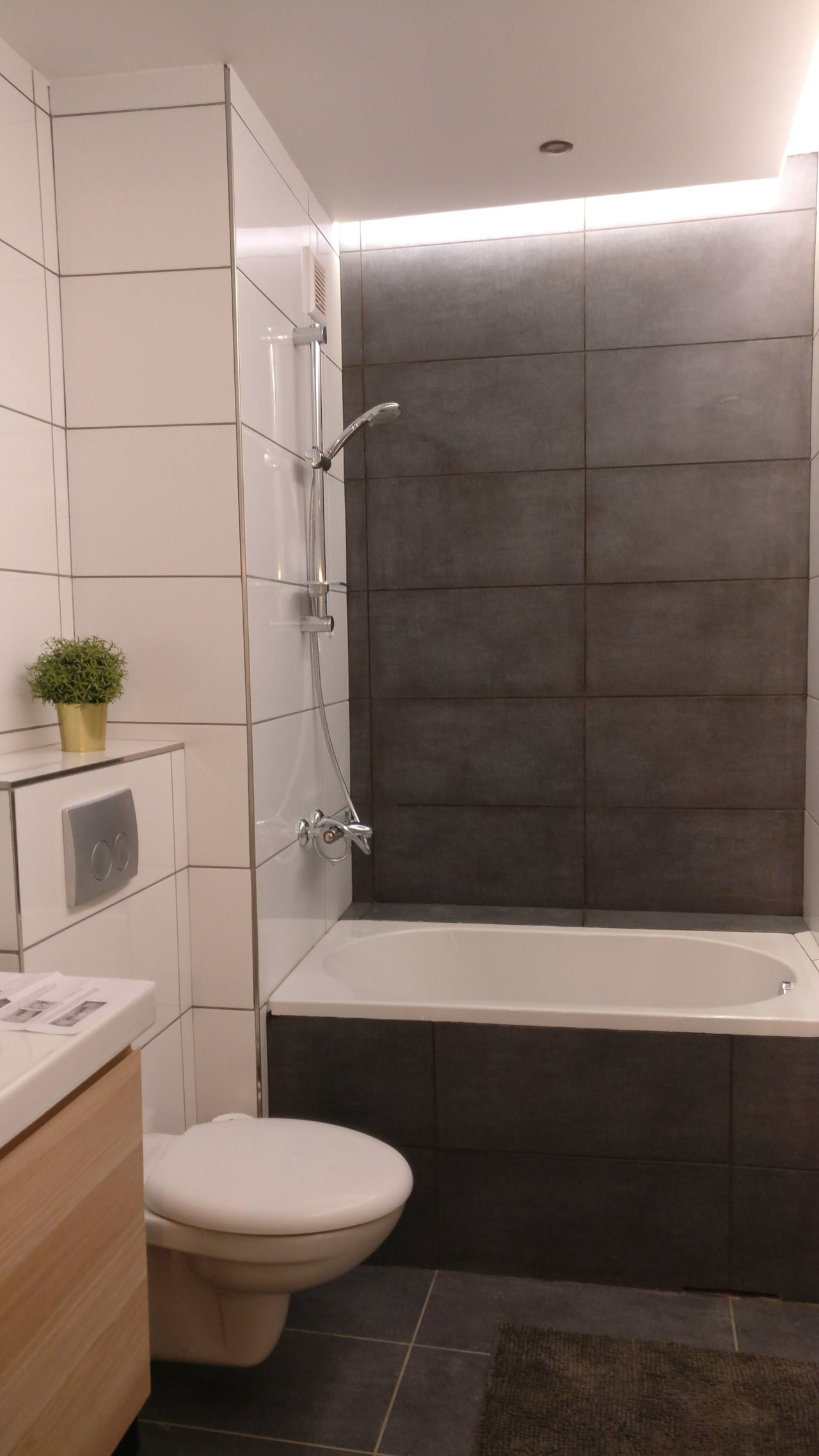Bird of Paradise: rental property interior design in Amsterdam, photo 13 of 16