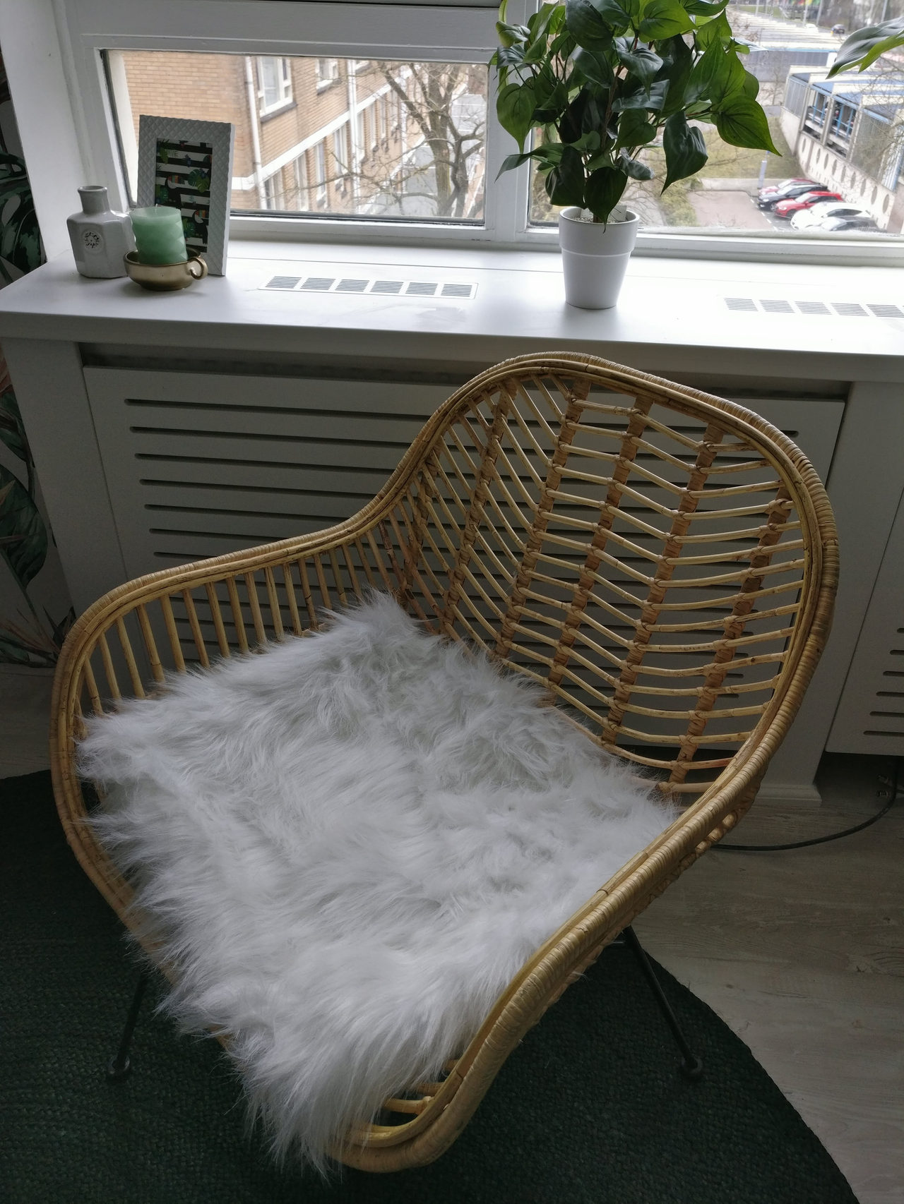 Bird of Paradise: rental property interior design in Amsterdam, photo 14 of 16
