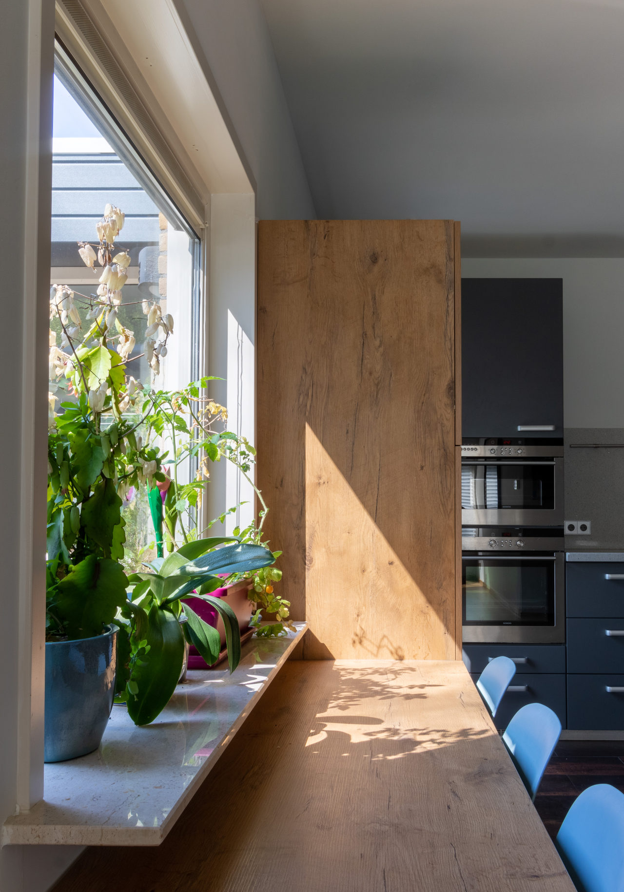 House of Cats: home interior design in Amstelveen, photo 3 of 20