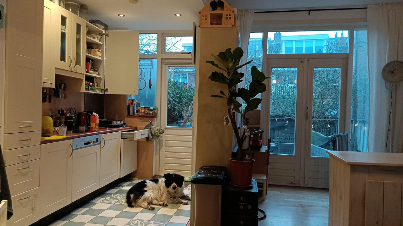 Nordic Secrets: home interior design in Zaandam, photo 34 of 38