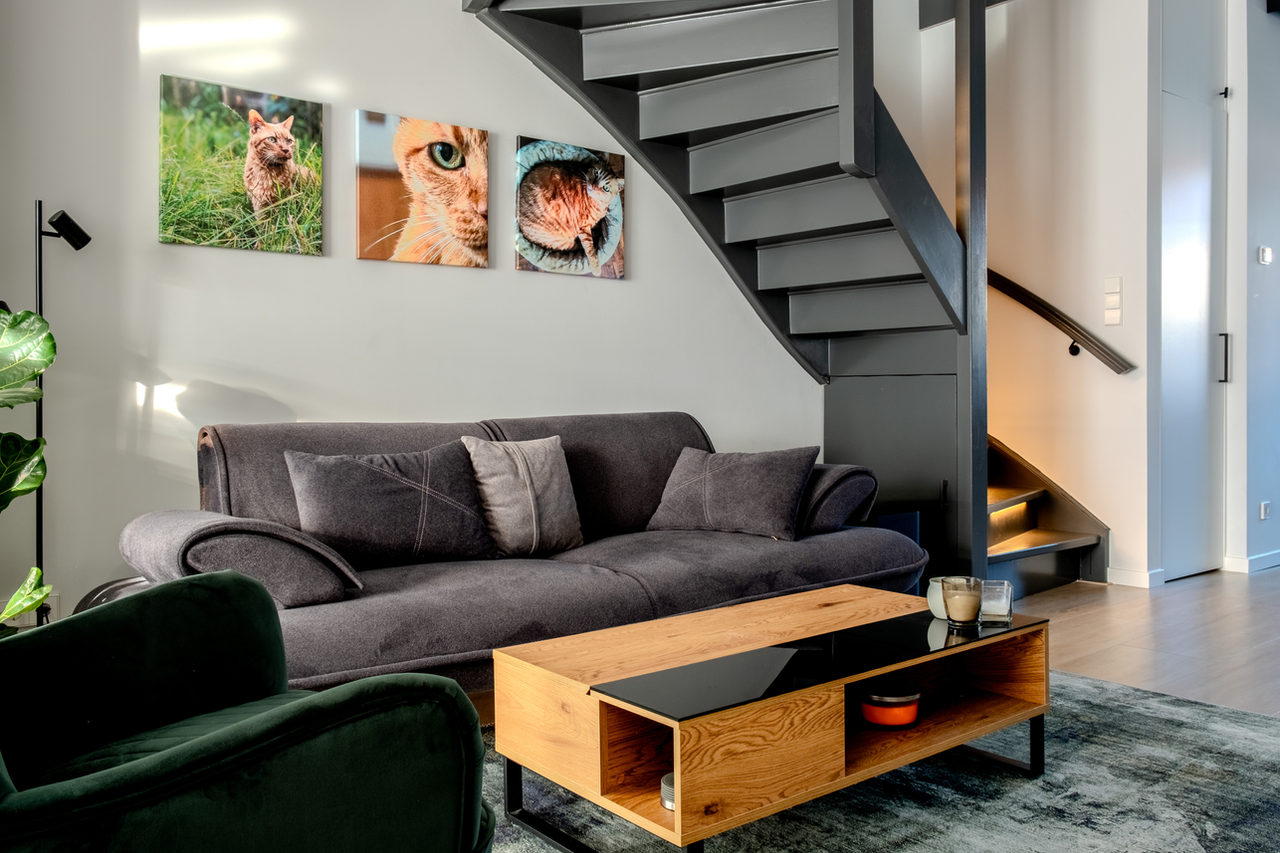Misty renewal: home interior design in Amstelveen, photo 4 of 63