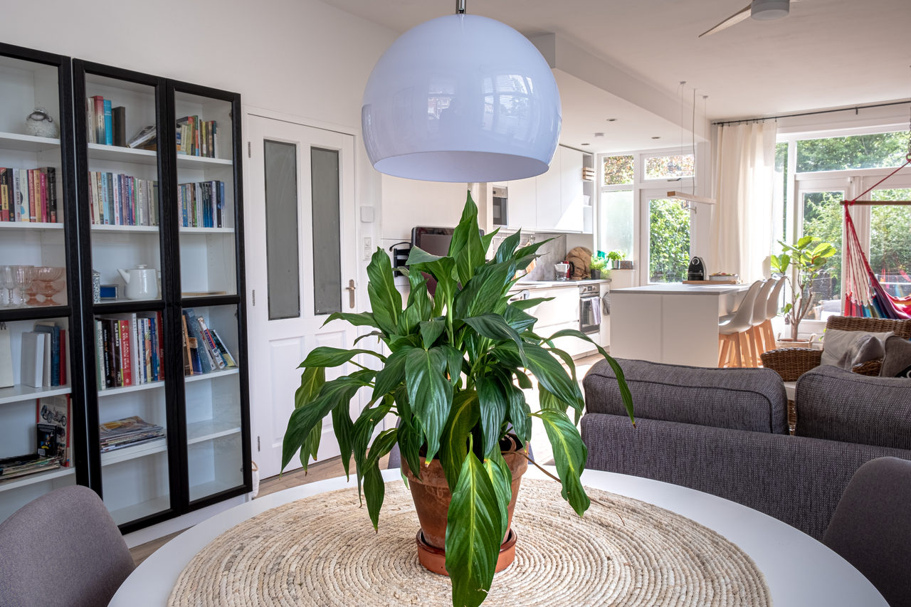 Nordic Secrets: home interior design in Zaandam, photo 21 of 38