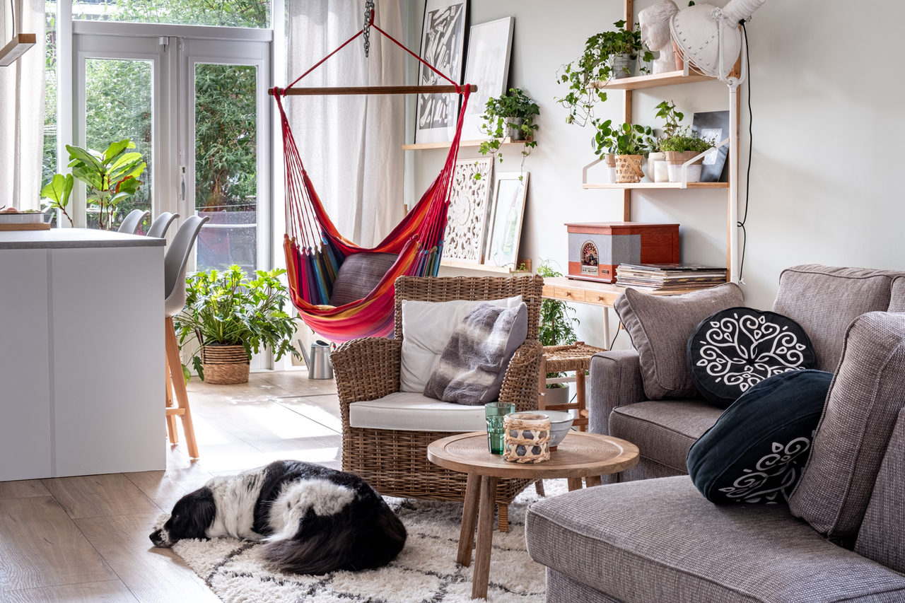 Nordic Secrets: home interior design in Zaandam, photo 3 of 38