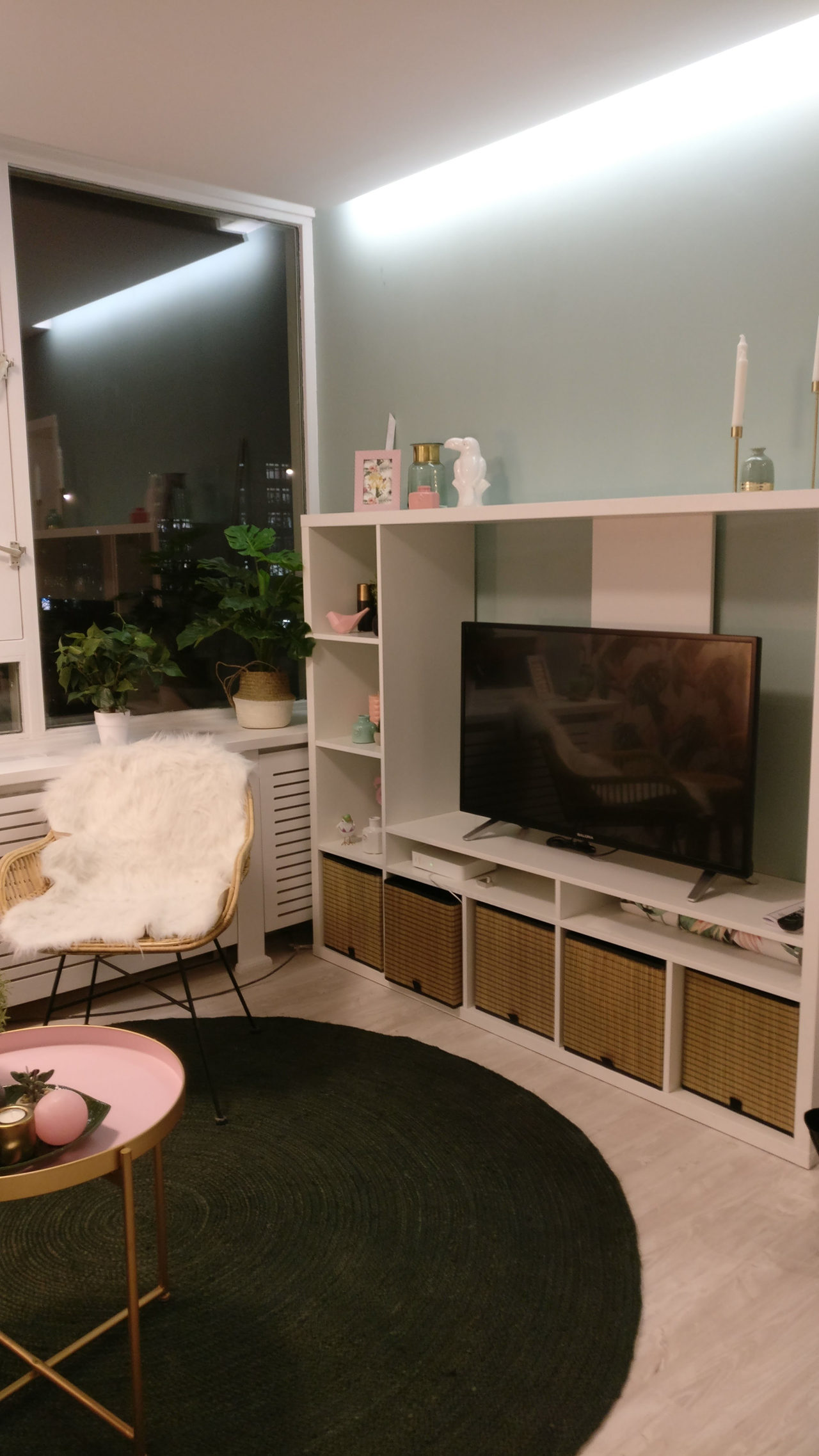 Bird of Paradise: rental property interior design in Amsterdam, photo 4 of 16