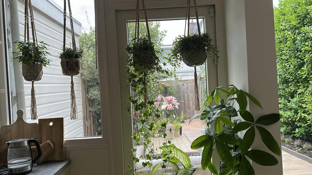 Botanic kitchen: kitchen design in Amstelveen, photo 13 of 26