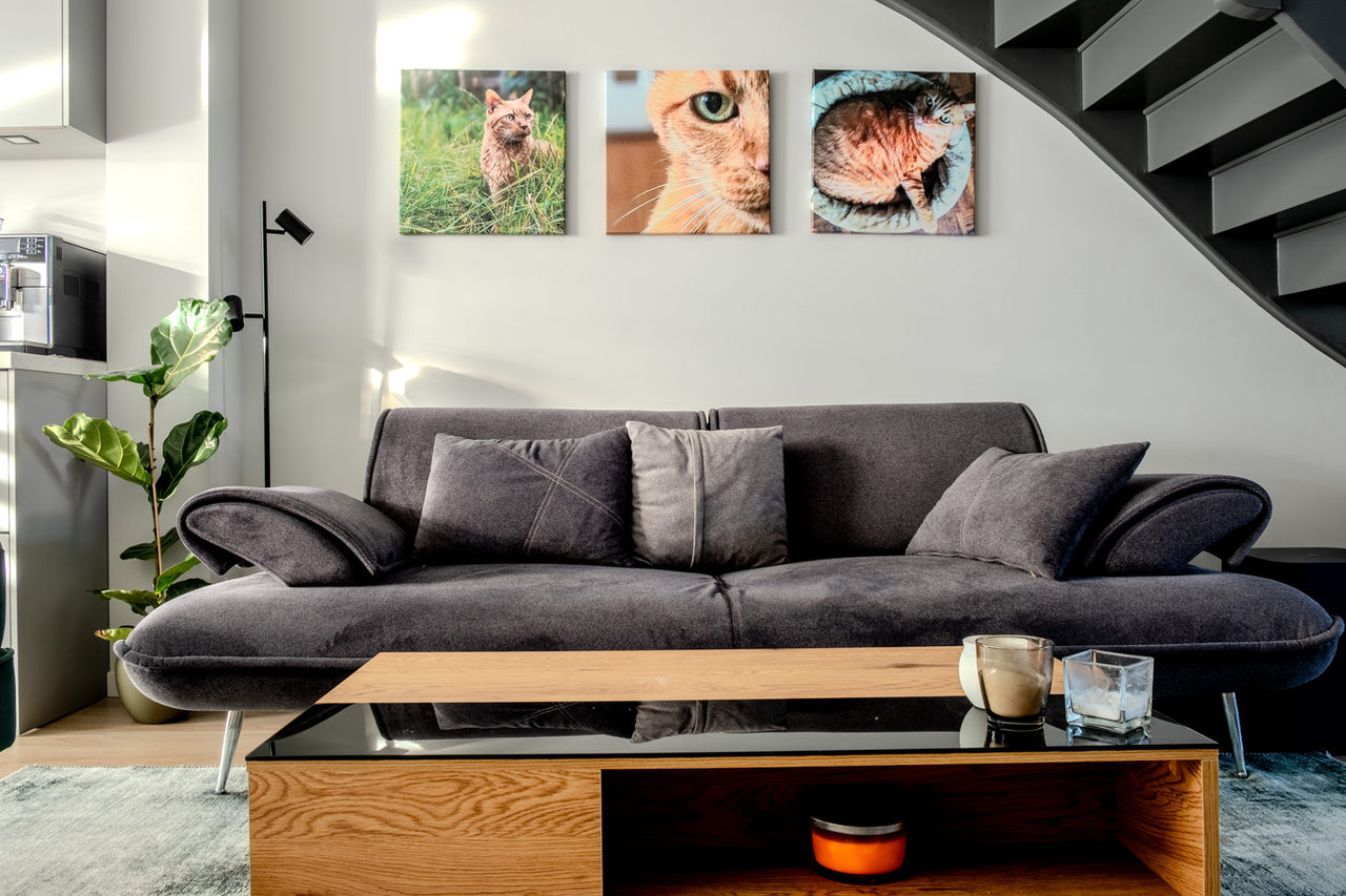 Misty renewal: home interior design in Amstelveen, photo 2 of 63