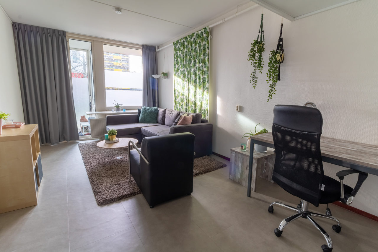 Affordable Student Housing: home interior design in Amsterdam, photo 10 of 12