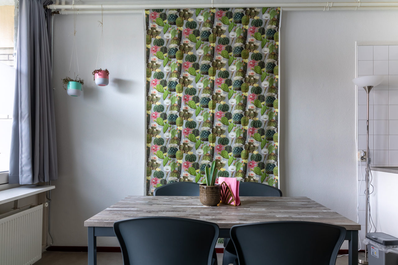 Affordable Student Housing: home interior design in Amsterdam, photo 1 of 12